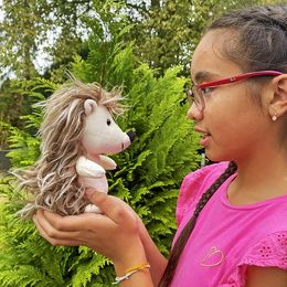 Diaesitys - Matkiva Igelkotti